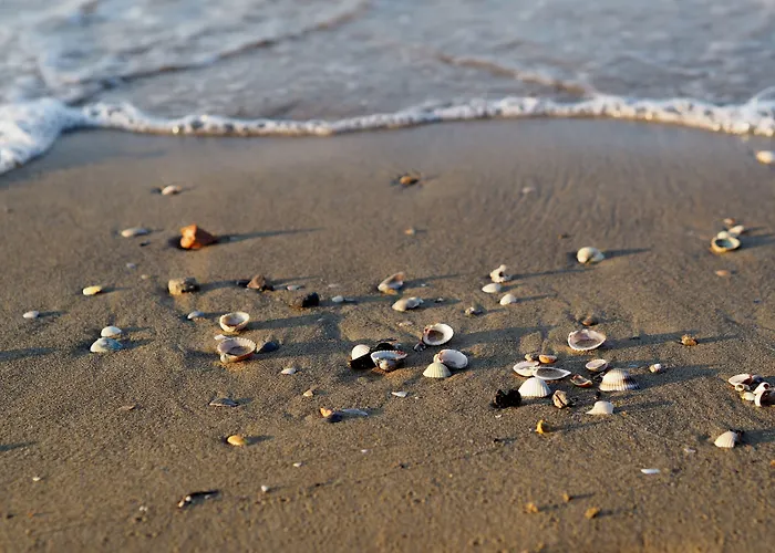 Lägenhet Spacious Flat Near Pluto Bibione